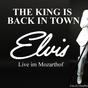 The King is Back in Town © True Photo Eliver Erenyi