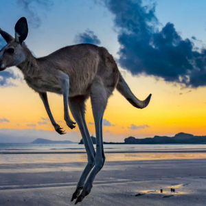 Australien Alles Leinwand © Dirk Bleyer