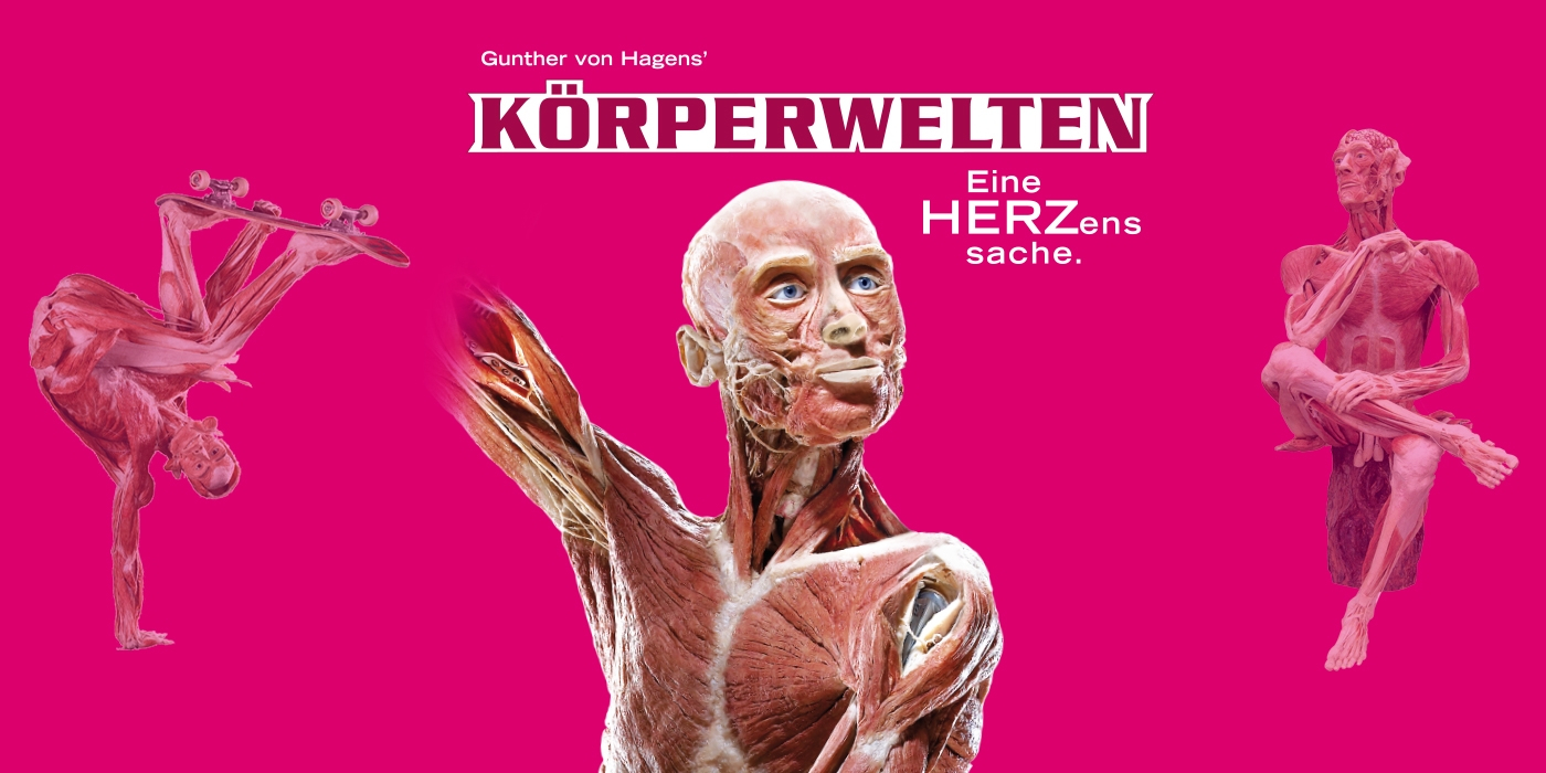 Gunther von Hagens' KÖRPERWELTEN Wiener Stadthalle » Wien Ticket
